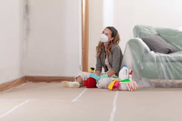 Trusted Black Mold Removal service in Belmont, VA - WQB Mold Removal